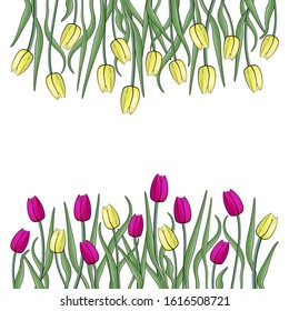 Congratulation banner with tulips. March 8 - International Women's Day. Tulip alley. Colorful pink and yellow tulips with green leaves isolated. Photo-realistic vector illustration. Spring art flowers