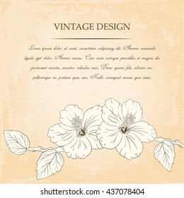 congratulations card design template with hibiscus flowers. Vector illustration.