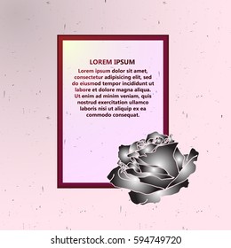 Congratulations template. Rose flower. Vector illustration