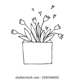 congratulatory illustration with a bouquet of tulips in an envelope