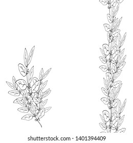 Congratulatory, invitation card with a branch of Laurel. Vector illustration.
