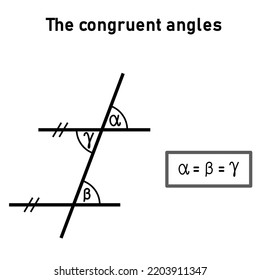 The Congruent Angles Using Two Parallel Lines