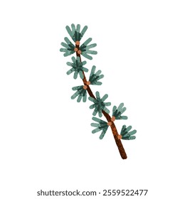 Conifer branch. Evergreen needle tree twig. Green coniferous plant. Botanical design element. Forest decoration. Natural decor, clip art. Flat vector illustration isolated on white background