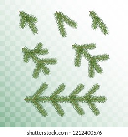 Conifer branches set. Green branches of a Christmas tree isolated on transparent background. Vector illustration