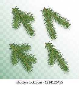 Conifer branches set. Green branches of a Christmas tree isolated on transparent background. Conifer branch symbol of Christmas and New Year. Holiday decor element. Vector illustration