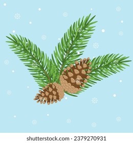 Conifer branches vector illustration. Pine cone, spruce, fir tree branches. Stock winter nature clipart.