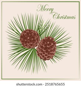 Conifer branches vector illustration. Pine cone, spruce, fir tree branches. Stock winter nature clipart poster isolated on light background