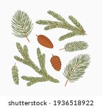 Conifer branches vector illustration set. Pine, spruce, fir tree branches and cones, winter nature clipart