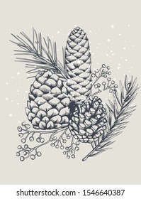 Conifer cones with fir tree leaves and berries. Snow falling. Christmas holiday sketch style vector