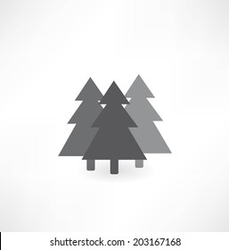 conifer icon