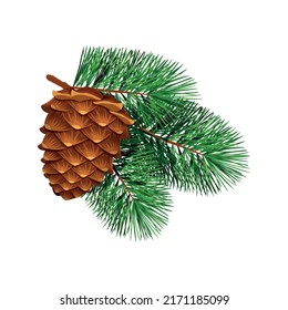 Conifer pine tree cone composition with colourful isolated image of coniferous twigs with fir needle foliage vector illustration