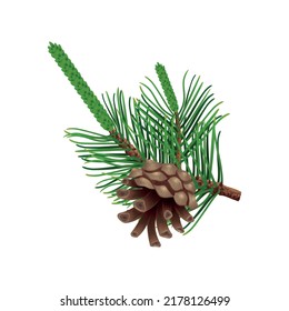 Conifer pine tree cone composition with colourful isolated image of coniferous twigs with fir needle foliage vector illustration