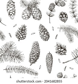 Conifer seamless pattern. Coniferous trees twigs and cones. Pine, spruce, larch, fir tree. Hand drawn vintage floral sketch elements. Black and white vector design. Botanical print for fabric.