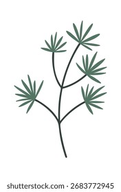 Ramo de árvore de coníferas com agulhas