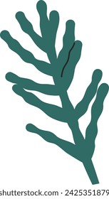 Conifer Tree Branch Vector Illustration