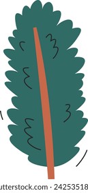 Conifer Tree Branch Vector Illustration