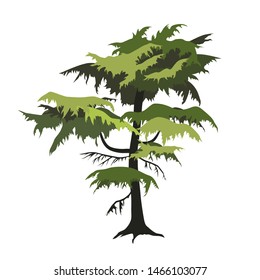 Conifer tree in flat style isolated on white background. Vector illustration. Drawn cartoon style