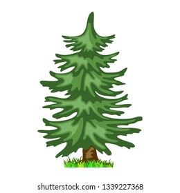 Conifer tree in four seasons - spring, summer, autumn, winter. Nature and ecology. Natural object for landscape design or park. Cartoon style. Green tree illustration Isolated on white background.