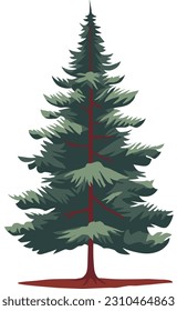 Árbol de coníferas aislado en fondo blanco