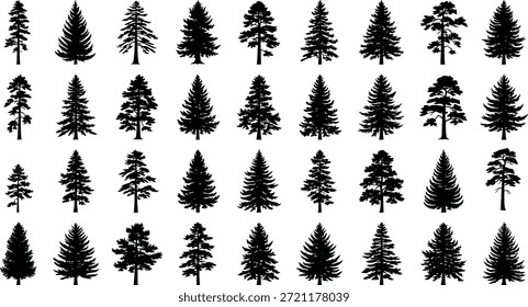 Conifer tree silhouette vector collection, evergreen shapes, black forest icons, botanical design, nature theme, landscape illustration, pine species, foliage graphic, outdoor concept, woodland elements