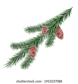 Coniferous branch with cones on a white background. Vector element for the design. Christmas doodle.