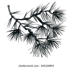 Coniferous branch with pine cones, vector illustration
