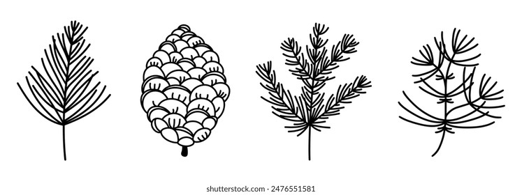Coniferous branches and cones, vector icon set. Twigs of spruce, pine, cedar, fir. Evergreen forest plant, festive winter trees. Shrub with needles. Hand drawn black and white doodle, botanical sketch