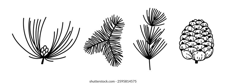 Coniferous branches and pine cone vector set. Twigs of spruce, fir, cedar with needles and buds. Evergreen forest trees, hand drawn vintage plants. Black and white botanical doodle for cozy decoration