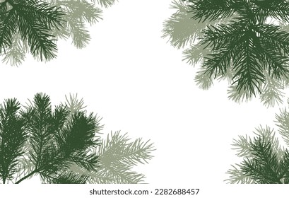 coniferous branches of trees silhouette, background. Vector illustration