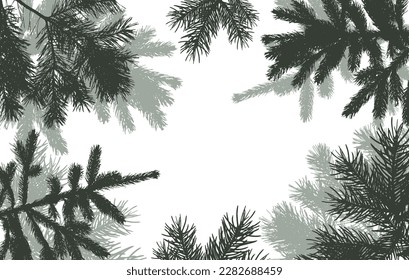 coniferous branches of trees silhouette, background. Vector illustration