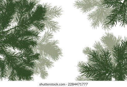 Coniferous branches of trees, silhouette, background. Vector illustration