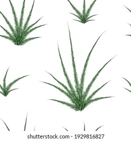 Coniferous bushes on a white background. Vector seamless pattern.