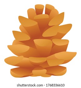 Coniferous cone icon. Cartoon of coniferous cone vector icon for web design isolated on white background