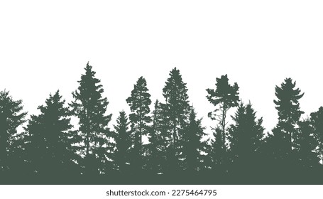 Coniferous and deciduous beautiful forest, silhouette of firs, pines and different deciduous trees. Vector illustration.