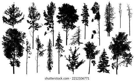 Coniferous and deciduous forest trees, bare trees. Set of silhouettes. Vector illustration svg