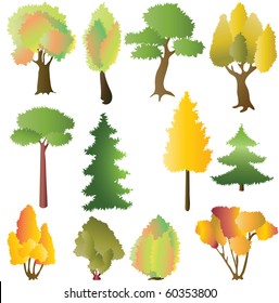Coniferous and deciduous trees in the autumn. Vector illustration