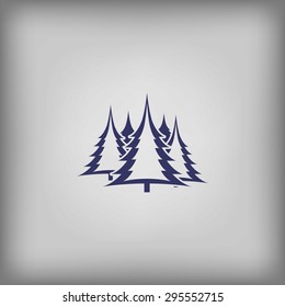 coniferous forest