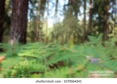 Coniferous forest. Abstract blurred vector background. Green summer nature with trees and sunlight. Bright soft colored backdrop for brochures and posters. Environment and freshness concept.