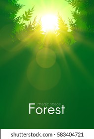 Fondo Forestal Conferente con Sol Brillante. Espacio natural. Amanecer salvaje. Ilustración del vector