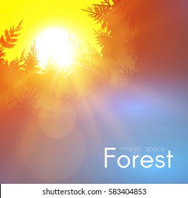 Coniferous Forest Background with Shining Sun. Woods Sunrise. Nature Space. Wild Sunset. Vector illustration