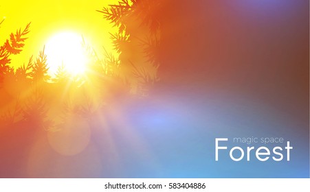 Coniferous Forest Background with Shining Sun. Woods Sunrise. Nature Space. Wild Sunset. Vector illustration