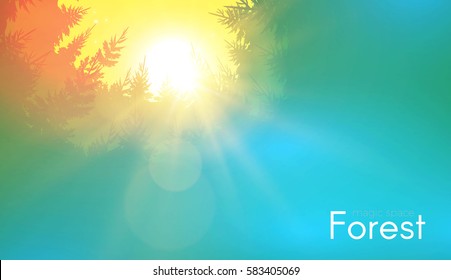 Coniferous Forest Background with Shining Sun. Woods Sunrise. Nature Space. Wild Sunset. Vector illustration