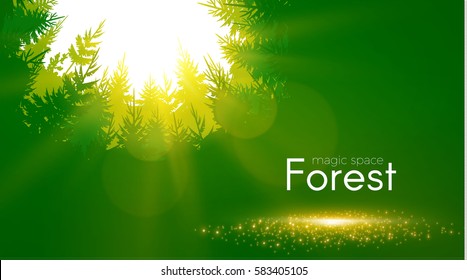 Coniferous Forest Background with Shining Sun. Woods Sunrise. Nature Space. Wild Sunset. Vector illustration