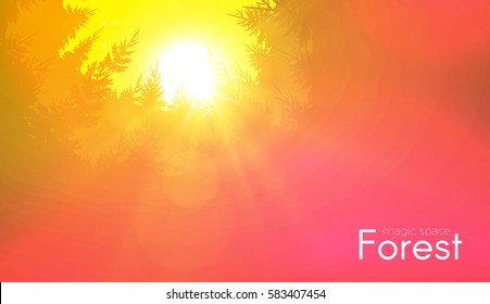 Coniferous Forest Background with Shining Sun. Woods Sunrise. Nature Space. Wild Sunset. Vector illustration