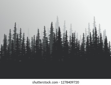 coniferous forest in black and white, dark coniferous forest on a gray background, Christmas tree