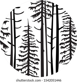 
Coniferous forest in a circle. White isolated