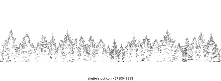 Coniferous forest of  fir trees. Vector illustration