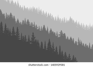 Coniferous forest in the fog, black and white landscape. Natural background, vector illustration