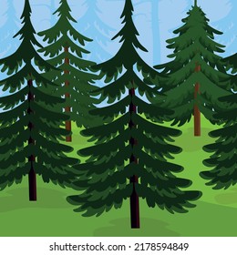 bosque de coníferas y hierba verde