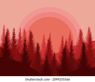 Coniferous forest in the light of bright sunlight. Dense forest